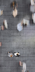 Insurance Workplace Consultancy - AWA