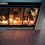 Image of people working by window